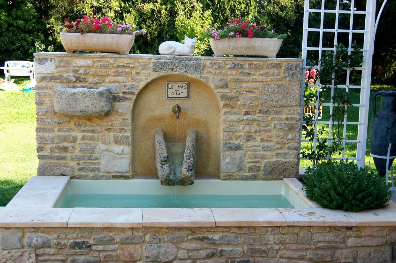 Bed and Breakfast Le Mas Du Chat Cavaillon Zewnętrze zdjęcie